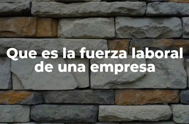 Que es la Fuerza Laboral de una Empresa
