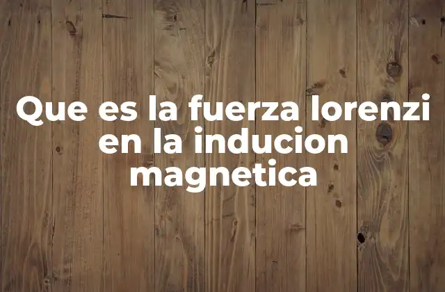 Que es la Fuerza Lorenzi en la Inducion Magnetica