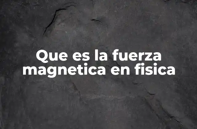 Que es la Fuerza Magnetica en Fisica