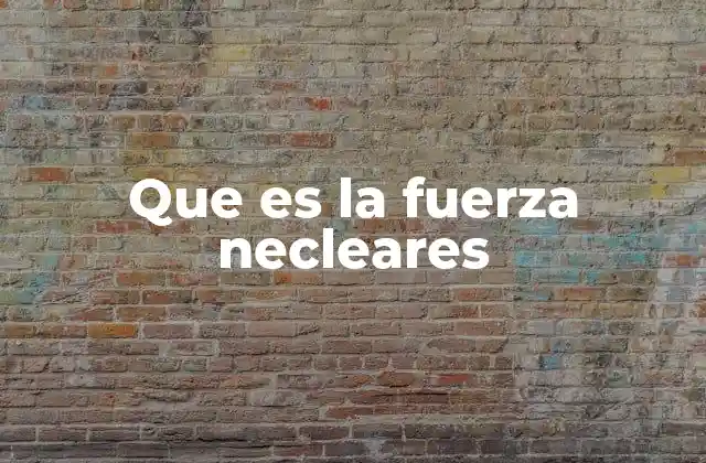 Que es la Fuerza Necleares