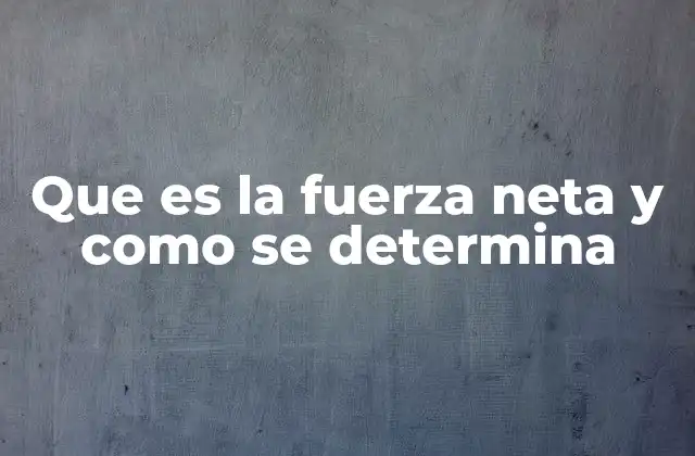 Que es la Fuerza Neta y como Se Determina