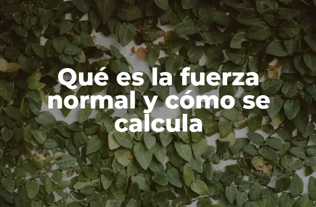 Qué es la Fuerza Normal y Cómo Se Calcula