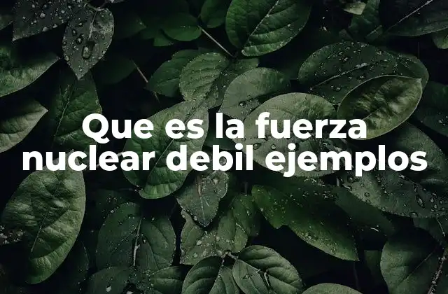 Que es la Fuerza Nuclear Debil Ejemplos 2 El papel de la fuerza nuclear débil en la física de partículas