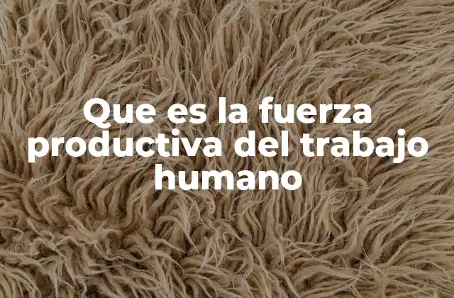 Que es la Fuerza Productiva Del Trabajo Humano