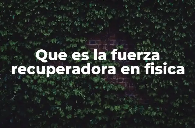 Que es la Fuerza Recuperadora en Fisica