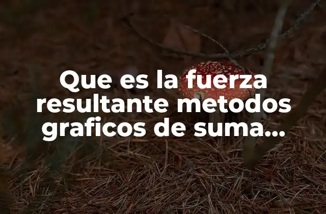 Que es la Fuerza Resultante Metodos Graficos de Suma Vectorial