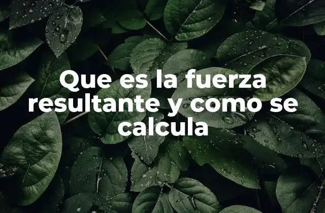Que es la Fuerza Resultante y como Se Calcula