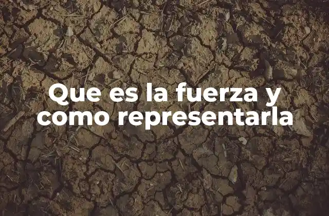 Que es la Fuerza y como Representarla