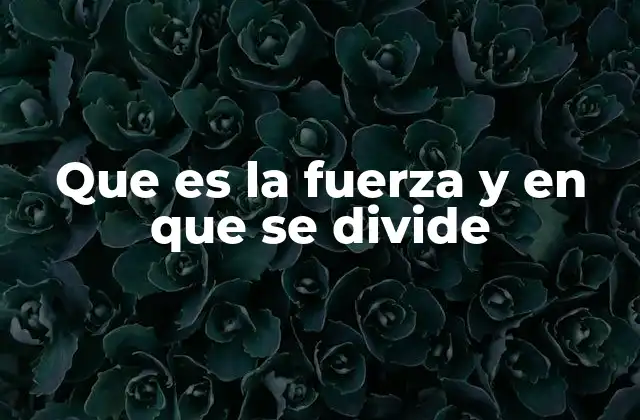 Que es la Fuerza y en que Se Divide