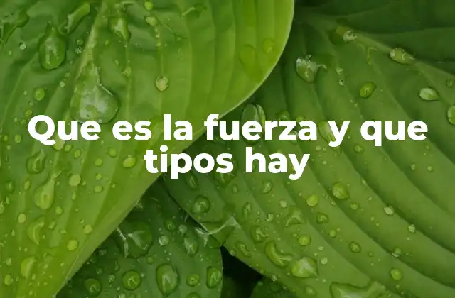 Que es la Fuerza y que Tipos Hay 2 ¿Cómo se clasifican las fuerzas en física?