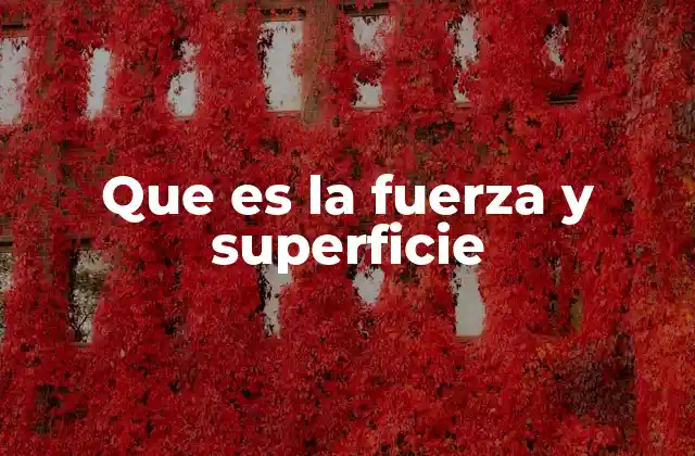 Que es la Fuerza y Superficie