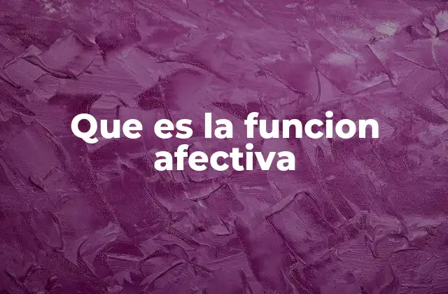 Que es la Funcion Afectiva