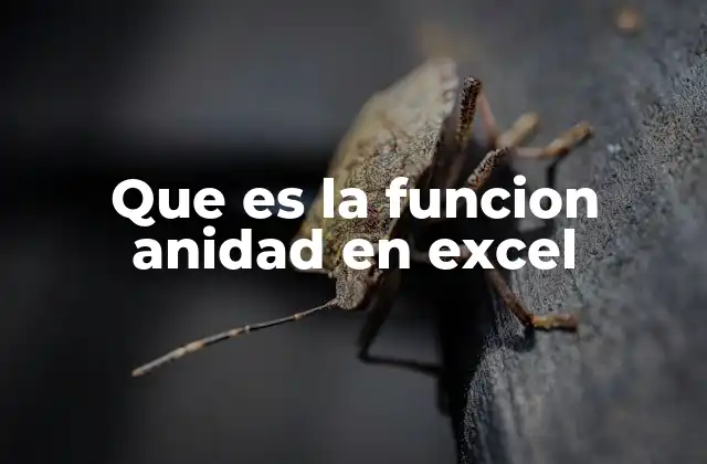 Que es la Funcion Anidad en Excel
