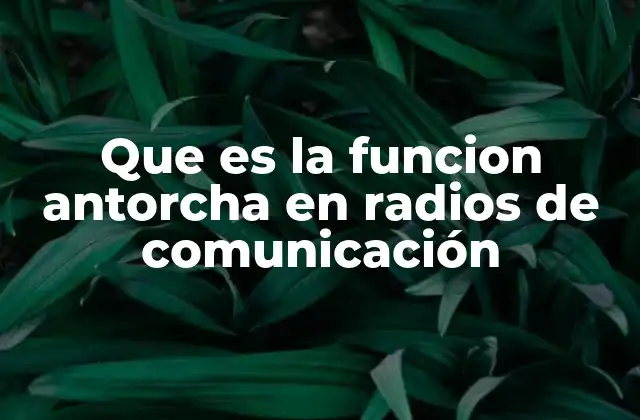 Que es la Funcion Antorcha en Radios de Comunicación