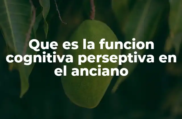 Que es la Funcion Cognitiva Perseptiva en el Anciano
