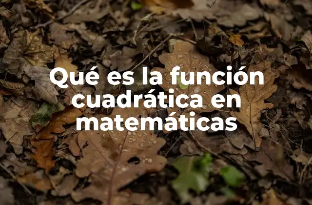 Qué es la Función Cuadrática en Matemáticas