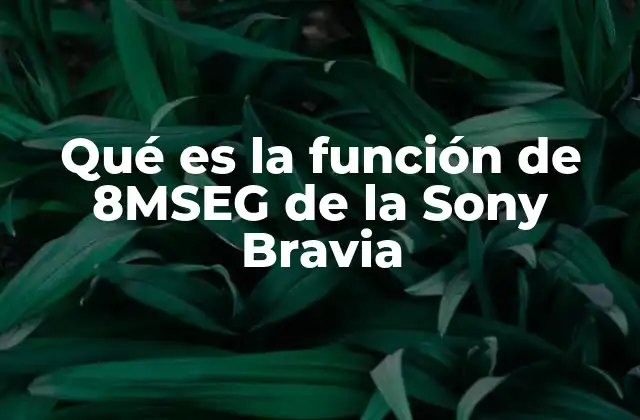 Qué es la Función de 8mseg de la Sony Bravia
