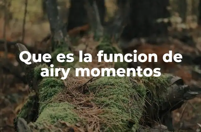 Que es la Funcion de Airy Momentos