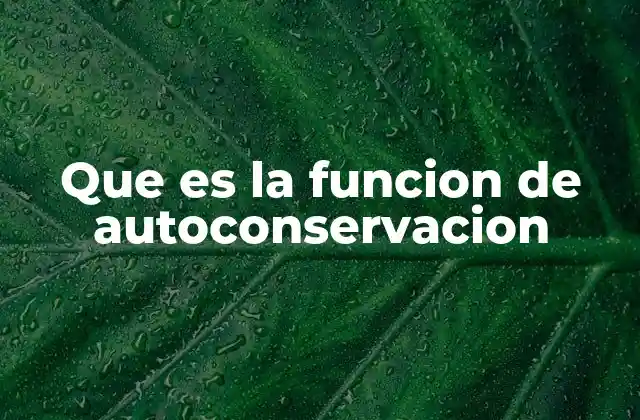 Que es la Funcion de Autoconservacion