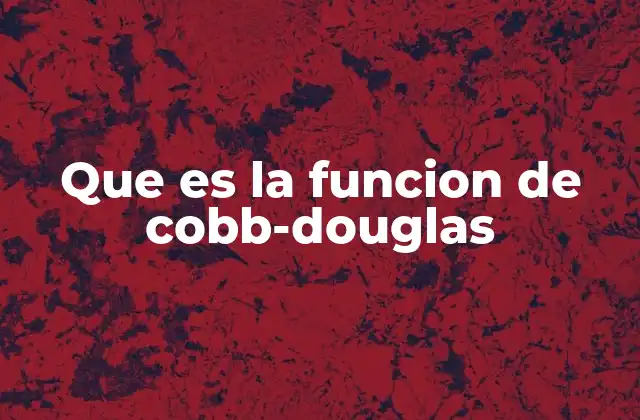 Que es la Funcion de Cobb-douglas