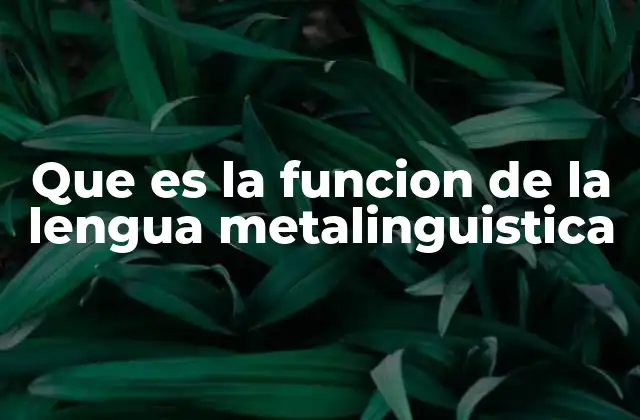 Que es la Funcion de la Lengua Metalinguistica