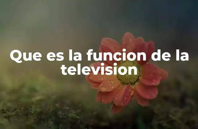 Que es la Funcion de la Television