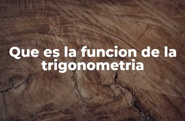 Que es la Funcion de la Trigonometria
