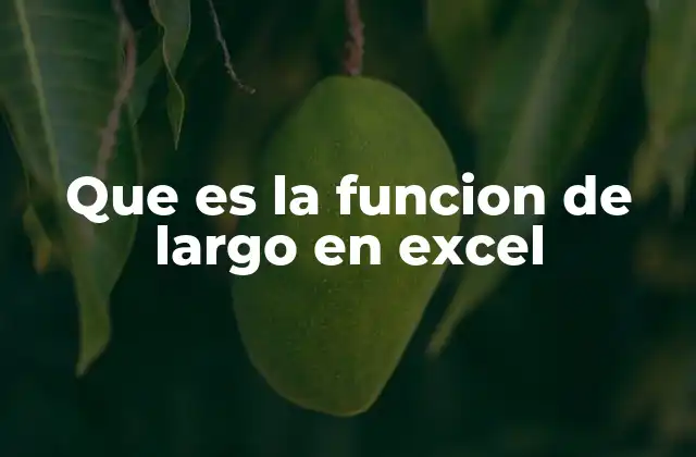 Que es la Funcion de Largo en Excel 2 Cómo la función LARGO mejora la gestión de datos en Excel