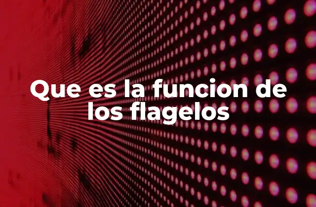 Que es la Funcion de los Flagelos