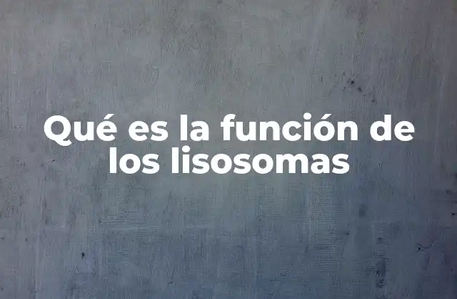 Qué es la Función de los Lisosomas