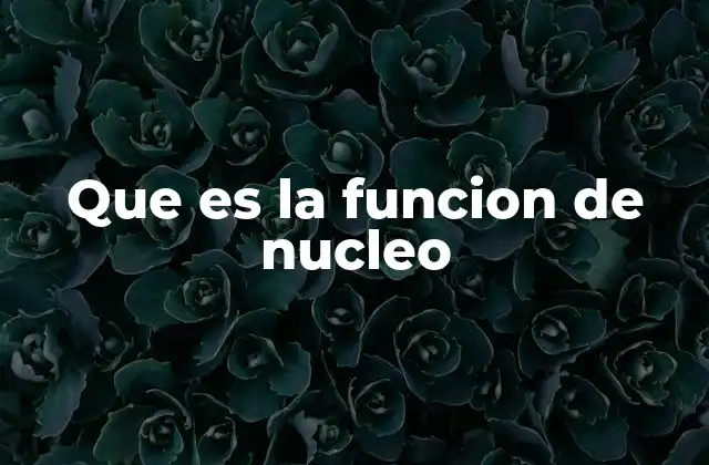 Que es la Funcion de Nucleo