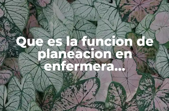 Que es la Funcion de Planeacion en Enfermera Administrativa 2 La importancia de la planificación en el liderazgo de enfermería