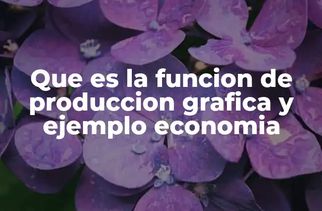 Que es la Funcion de Produccion Grafica y Ejemplo Economia
