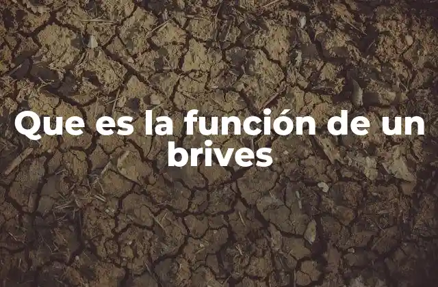 Que es la Función de un Brives