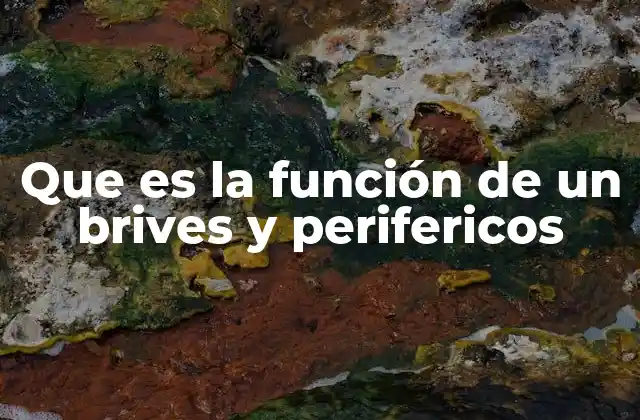 Que es la Función de un Brives y Perifericos