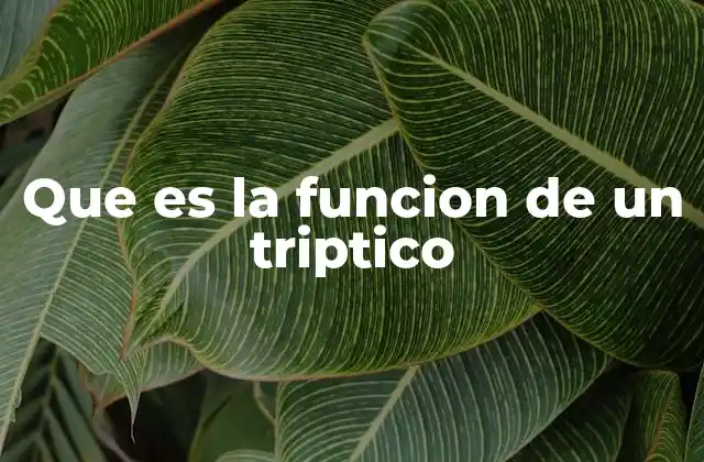 Que es la Funcion de un Triptico