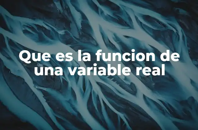 Que es la Funcion de una Variable Real
