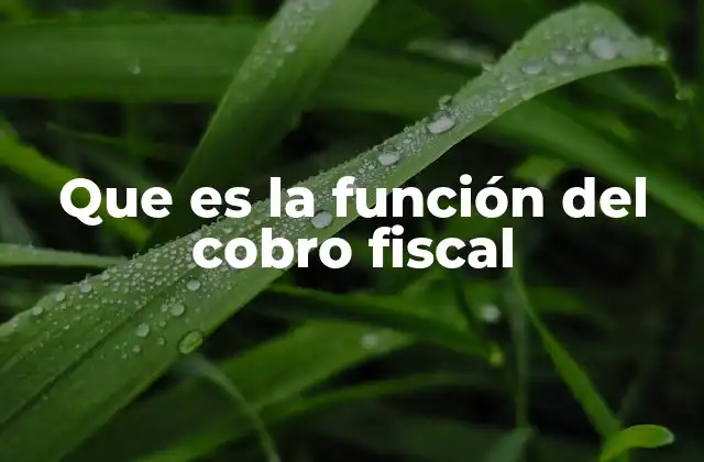 Que es la Función Del Cobro Fiscal