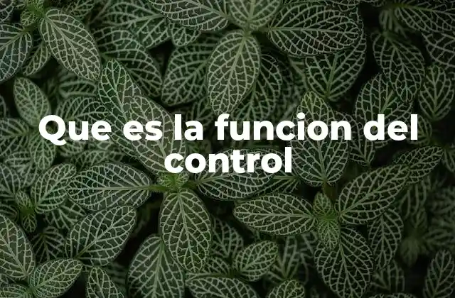 La importancia del control en el desarrollo organizacional
