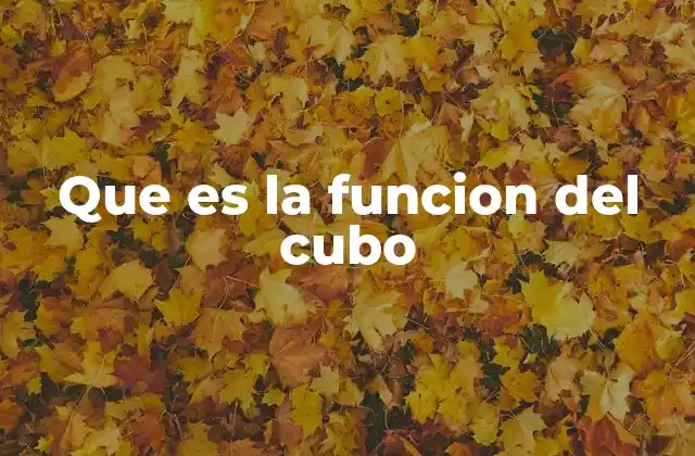 Que es la Funcion Del Cubo