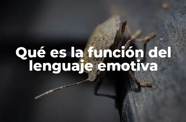 El lenguaje como reflejo interno