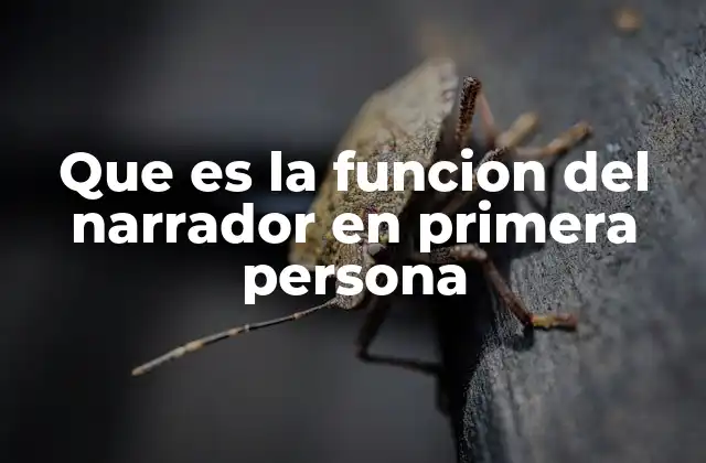 El rol del narrador como puente entre el lector y la historia