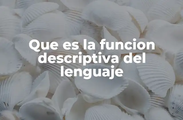 Que es la Funcion Descriptiva Del Lenguaje