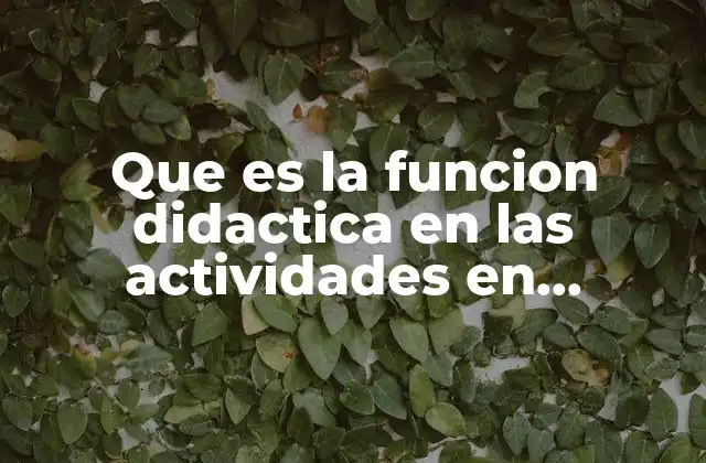 Que es la Funcion Didactica en las Actividades en Preescolar