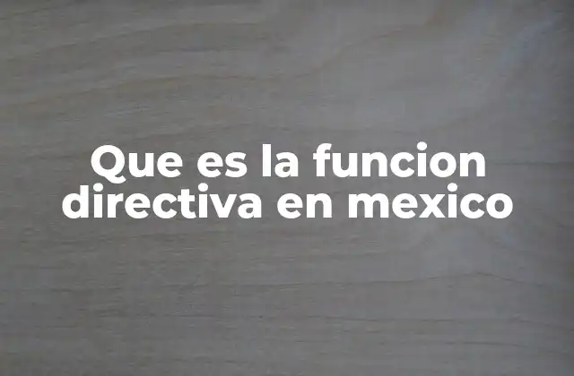 Que es la Funcion Directiva en Mexico