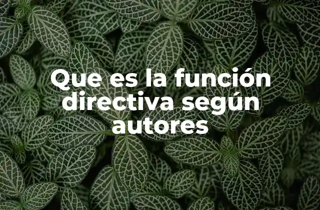 Que es la Función Directiva según Autores