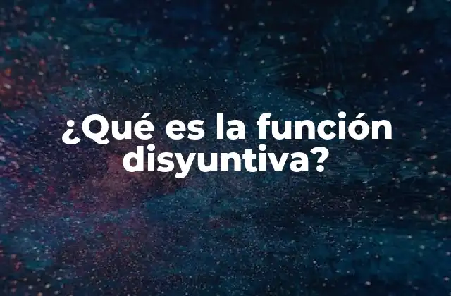 ¿qué es la Función Disyuntiva?