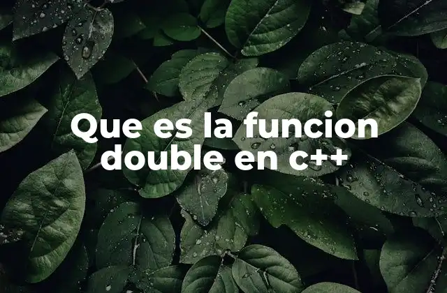 Que es la Funcion Double en C++ 2 Tipos de datos numéricos en C++