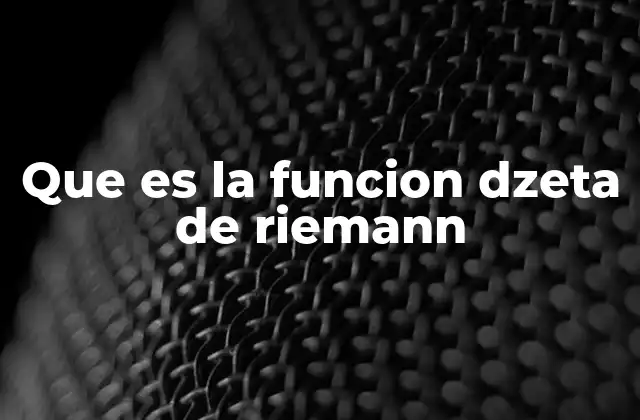 Que es la Funcion Dzeta de Riemann