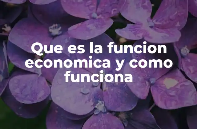 Que es la Funcion Economica y como Funciona